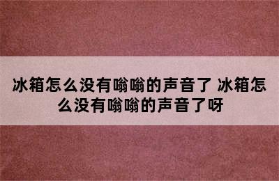 冰箱怎么没有嗡嗡的声音了 冰箱怎么没有嗡嗡的声音了呀